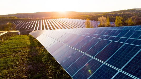Solar panels in solar farm resized