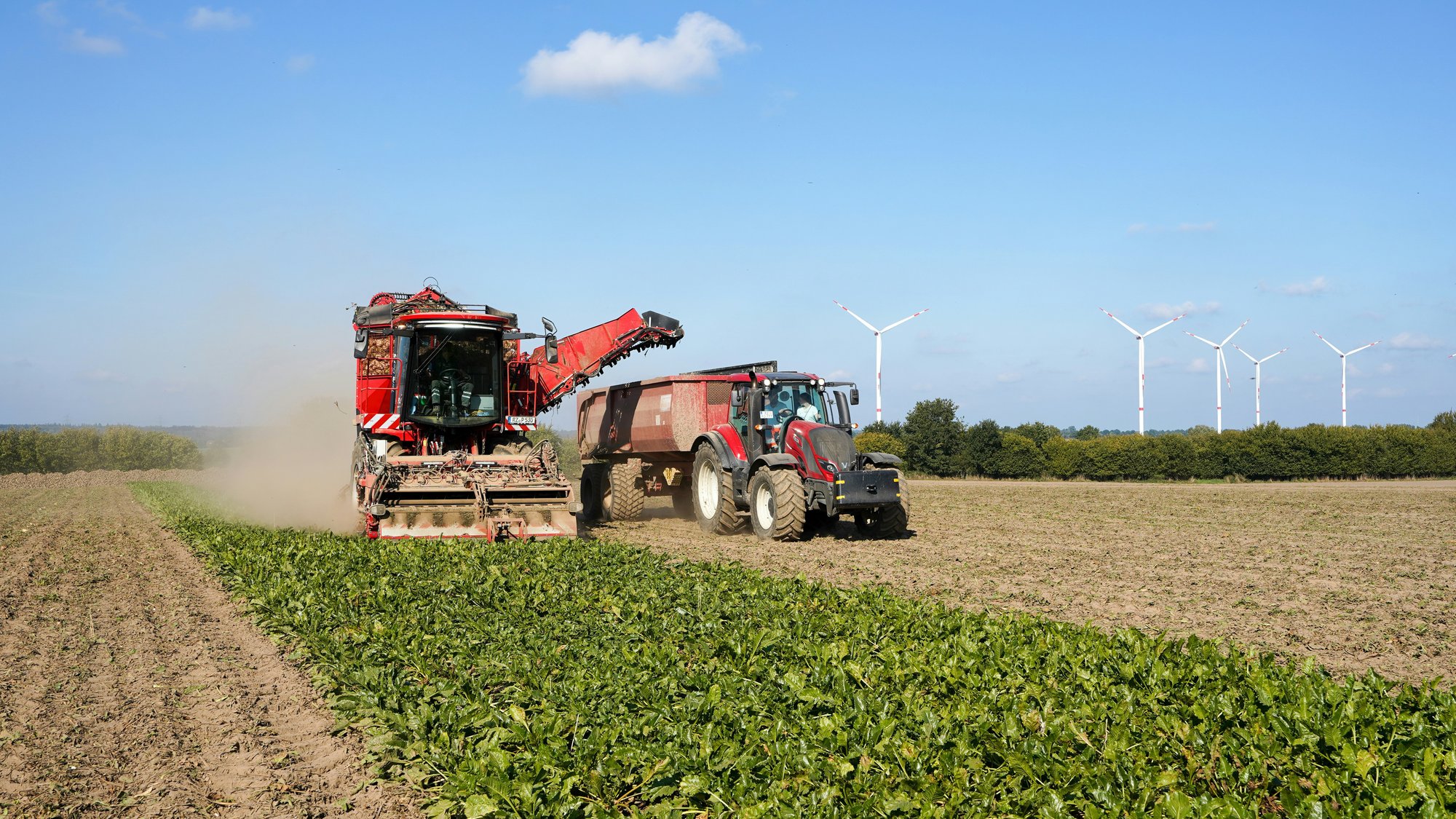 wolfgang-weiser-GwYs8EzlfS8-unsplash