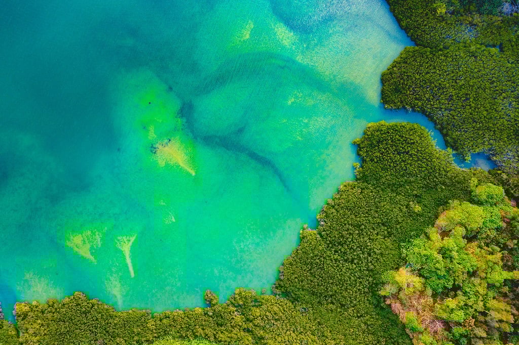 iStock-1293986486 (3) resized