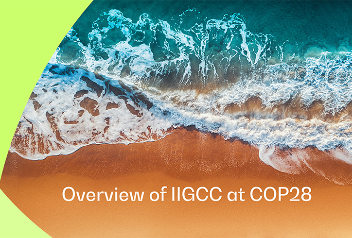 IIGCC-COP28