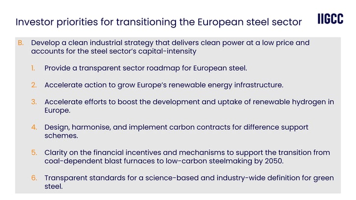 Transitioning the European steel sector: Assessing the new Action Plan against investor priorities  