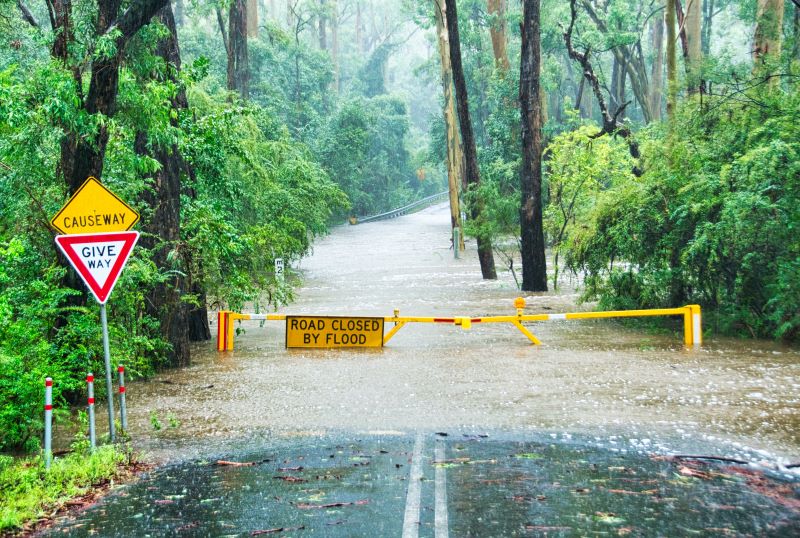 Picture of flooded road - by Phillip Flores